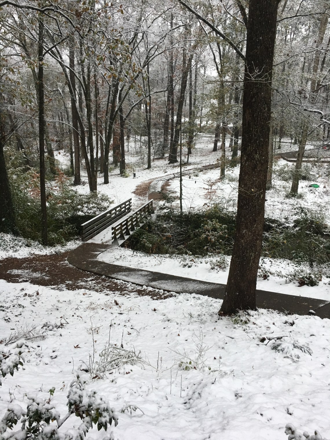 Snow day Dec 9 2017 Dearborn Park bridge 2