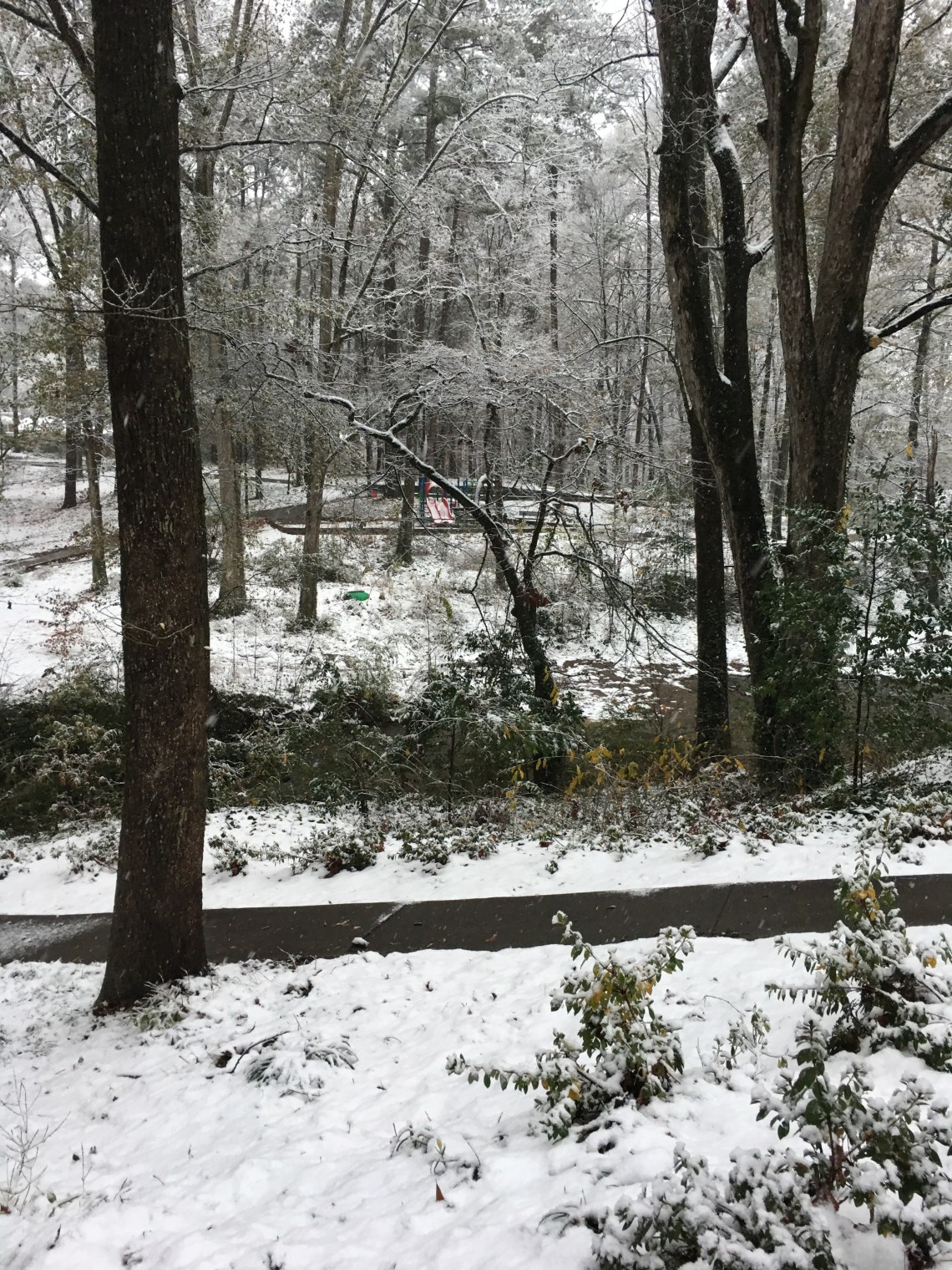 Snow day Dec 9 2017 Dearborn Park bridge 3